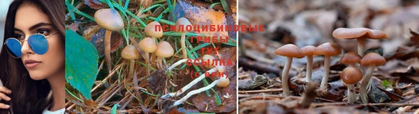 круглые Гусев