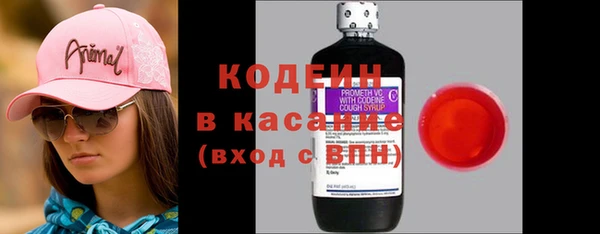 круглые Гусев