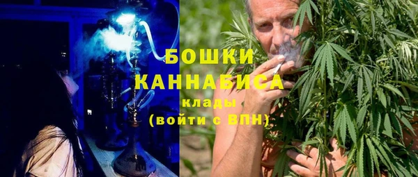 гидра Гусиноозёрск