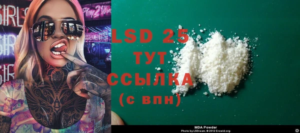 круглые Гусев