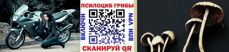 цена наркотик  мега вход  Псилоцибиновые грибы Psilocybine cubensis  Радужный 